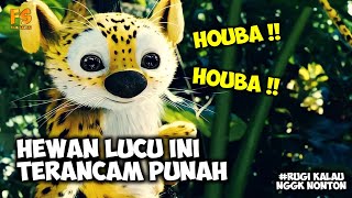 HEWAN DALAM DONGENG YANG JADI NYATA❗Alur cerita film HOUBA! ON THE TRAIL OF THE MARSUPILAMI