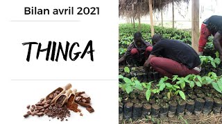 La pépinière THINGA au 9 avril 2021