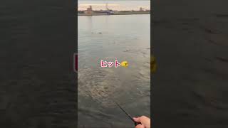 ゴミで魚釣ってみた