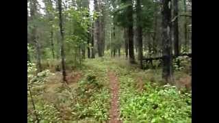 Hiking the Kettle and Tamarack trails at Kettle Lake Provincial Park