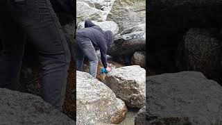 Bholenath ke charno ka paani #shiva #bholenath #nature #waterfall #wanderlust #shorts #viral #trend