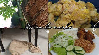 VLOG | ROTINA DA MANHÃ | COLHI TOMATES, MOSTREI O PÉ DE MAMÃO, ALMOÇO E CASA LIMPA!