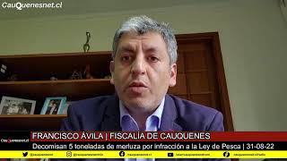 En #Cauquenes decomisan más de 5 toneladas de merluza proveniente de Pelluhue