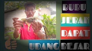 Hasil bubu jebak ku dapat udang sama ikan gabus lumayan besar besar