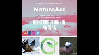 NaturcAst - Le reintroduzioni in natura