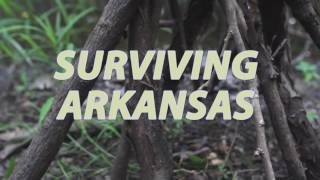 About Surviving Arkansas