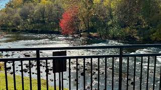 Our October 23 beautiful fall 22 mile bike ride!😍