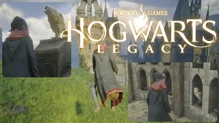 Hogwarts Legacy | Hogwarts Owlery