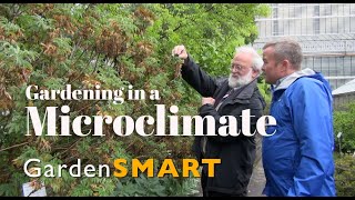 GardenSMART Tips, Gardening in a Microclimate