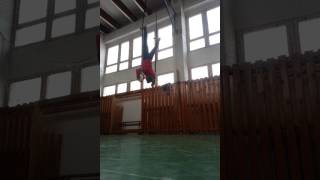 Handstand push up on rings