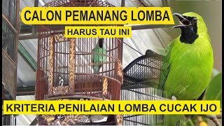 KRITERIA PENILAIAN LOMBA BURUNG CUCAK HIJAU YANG MEMBUAT BURUNG ANDA MENJADI PEMENANG.