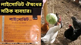 লাইসোভিট ঔষধের সঠিক ব্যবহার। লাইসোভিট (ভেট)। দূর্বল মুরগি সুস্থ রাখার ঔষধ।