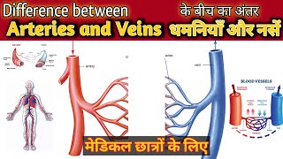 what is artery|what is vein|difference between arteries and veins|medical knowledge pk