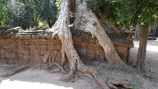 Cambodia, Siem Reap, Temples of Angkor, IMPRESSIONS GALLERY - excellent