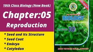 Seed and its structure class 10 | Biology class 10 chapter 5| Class 10 new biology book