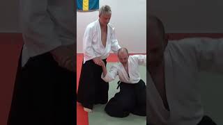 Aikido handshakes, aiki (joining energies) exercises, by Stefan Stenudd