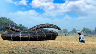 Anaconda Snake Attack On Village Boy in forest || Official traile || Jurassic world