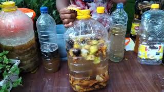 RESEP CAIRAN AJAIB SERBA GUNA DARI SAMPAH! ! ECOENZYME!! BISA JADI PUPUK DAN SABUN!!