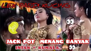 LEK PARDI KUCING JACK POOOT‼️‼️ BESAR  MBAK INTAN DAN MBAK KUMALA