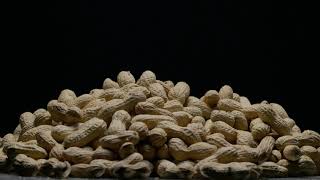 Peanuts on Turntable Macro 05 - Free (for commercial use) Footage - 4K