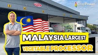 Malaysia LARGEST Vegetables Processor: Ngee Teck Huat!