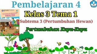 Kelas 3 Tema 1 Subtema 3 Pembelajaran 4//Pertumbuhan Kupu-Kupu