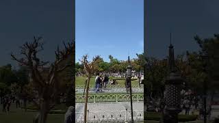 Sultan Ahmet mosque , Istanbul, Turkey