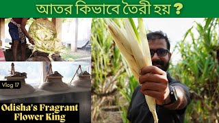 Attar/ Kewda Oil Extraction From Kewda Flower * Near IISER BERHAMPUR * Ganjam *  The Phd Vlogger