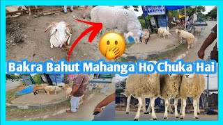 Bakra Mandi Bengeluru HBR Layout 😱😱||Bakra Bahut Mahanga Ho Chuka Hai @SYEDVLOGSDSYEDVLOGSD