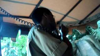 Disney's Jungle Cruise - Magic Kingdom