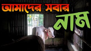 কোরবানি ২০২৩ ব্যাচ এর সব গরুর নাম || কেন গরুর নাম দেই || Purbasha Agro