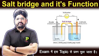 Salt Bridge - Electrochemistry | Class 12 Chemistry Chapter 3 (2023-24)