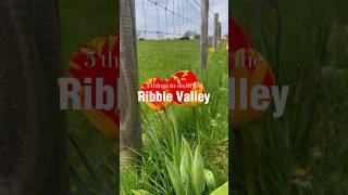 Get yourself to the Ribble Valley! 🌲🏴󠁧󠁢󠁥󠁮󠁧󠁿☀️ #Thingstodo #Lancashire