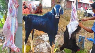 See how everything comes out of the goat's stomach | Cutting Skills | Meat Cutting | Goat | Cutting