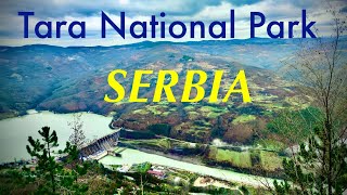 TARA NATIONAL PARK, SERBIA. #srbija #belgrade #europe  #beograd #nationalpark #travelblog #nature