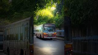 BEST TATA ACGL LPO BUS edit 💗😍#shorts #bestbus #mumbaibestbuses #mumbai #ytshorts