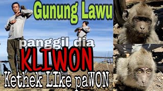 Gunung Lawu : Panggil dia KLIWON ( Kethek Like Pawon )