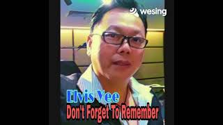 Don't Forget to Remember - Elvis Yee