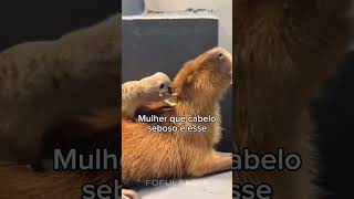 #animaisfofos #animais #animals #animal #cuteanimals #funny #animaisengraçados #fofo