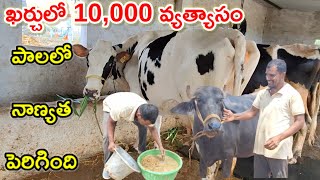 ఒకసారి ఖర్చు పెడితే కష్ట Fully in dairy farm @MalleshAdla