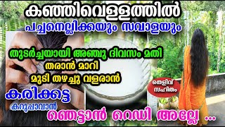 കഞ്ഞിവെള്ളത്തിൽ പച്ചനെല്ലിക്കയും, സവാളയും ഇങ്ങനെ ചെയ്താൽ /hair care /malayalam