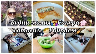 БУДНИ МАМЫ/ УБОРКА В СПАЛЬНЕ/ ВКУСНЫЕ И ПРОСТЫЕ РЕЦЕПТЫ/ЦВЕТУЩАЯ САКУРА