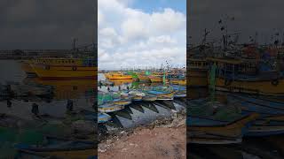 Fishing Harbour, Visakhapatnam. #travel #travelshorts #fishingharbour #beach #visakhapatnam #rkbeach