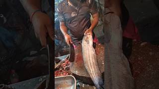 Giant serang catfish | (padin) fish cuttin gin dawdi | fish market by Ms fish #shorts #fish #fishing