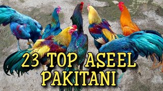 23 TOP ASEEL PAKISTAN