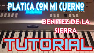 Platica Con mi Cuerno - Benitez de la Sierra (Melodia Tutorial en Teclado)