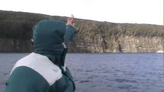 Alimentando a gaviota no lago Nahuel Huapi Bariloche - WUALLACY ARAUJO