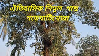 গড়েমাটিখোবা ঐতিহাসিক শিমুল গাছ l Gorematikhowa Historical Bombax Ceiba l 200 Years l