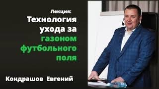 Что нужно, чтобы отличный газон не заболел