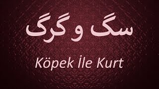 Köpek İle Kurt   /   پَشّه وُ شیر